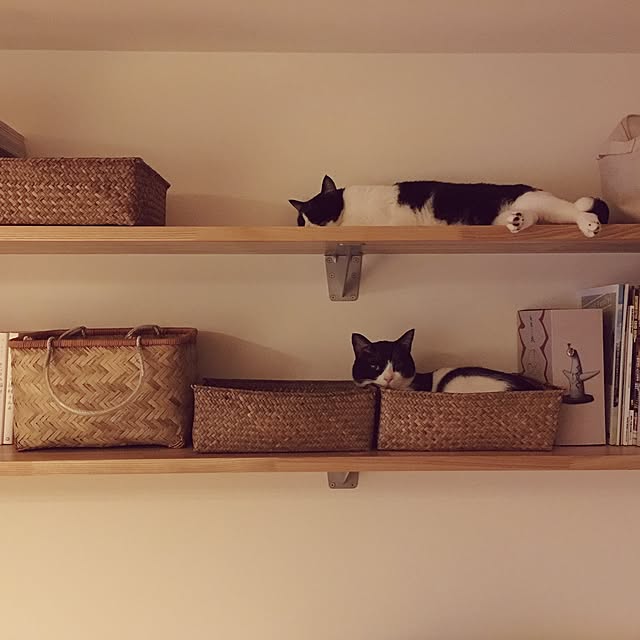 chihile_leさんの実例写真