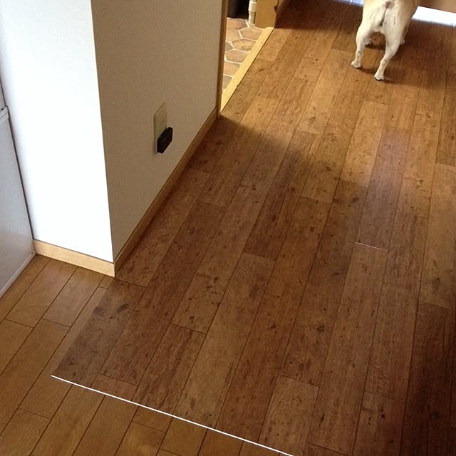 aiさんの実例写真