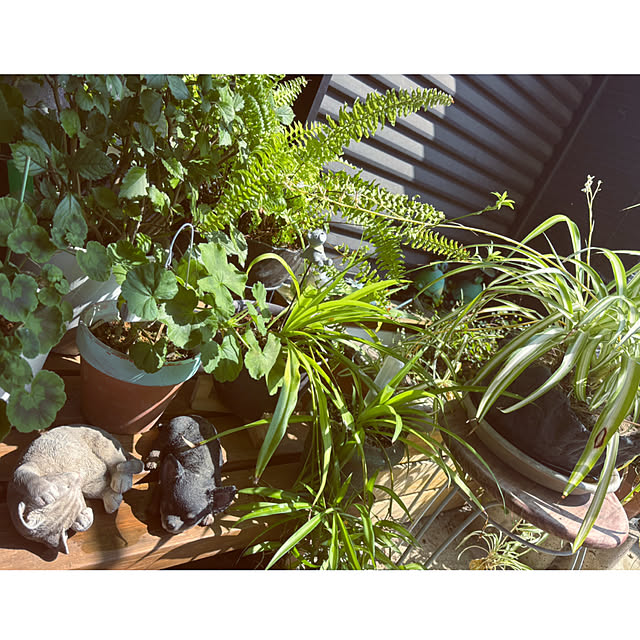 CoCo0617さんの実例写真