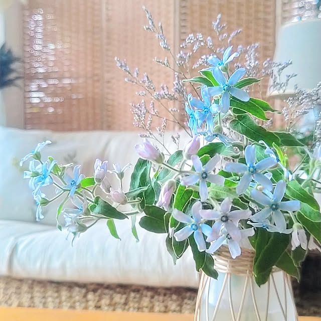 YuriYuriさんの部屋