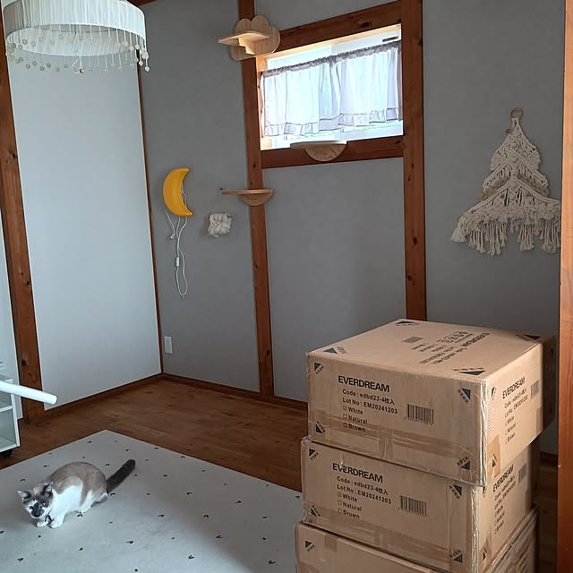 kaoriiiさんの部屋