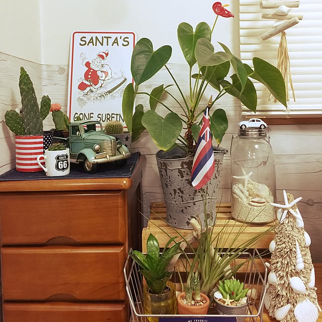acoさんの実例写真