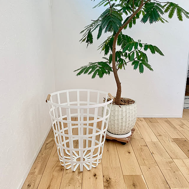 Minteaさんの部屋