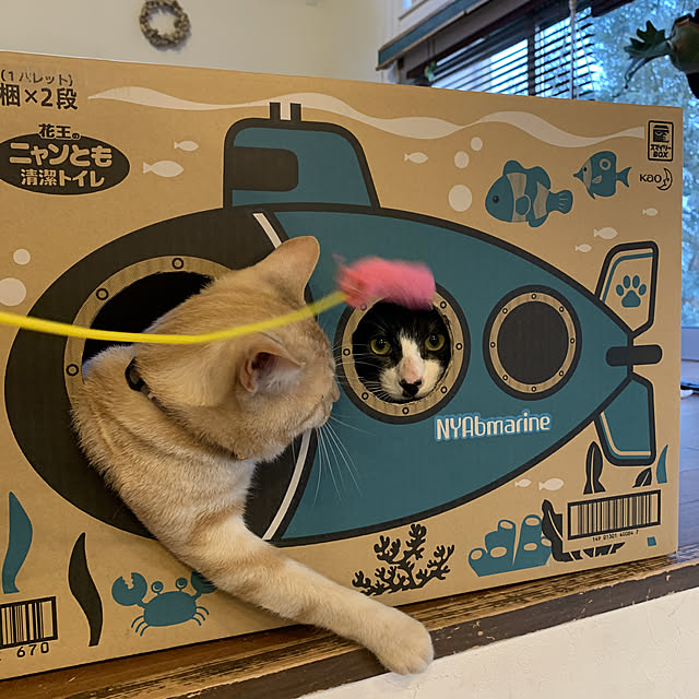 COLeCoさんの実例写真