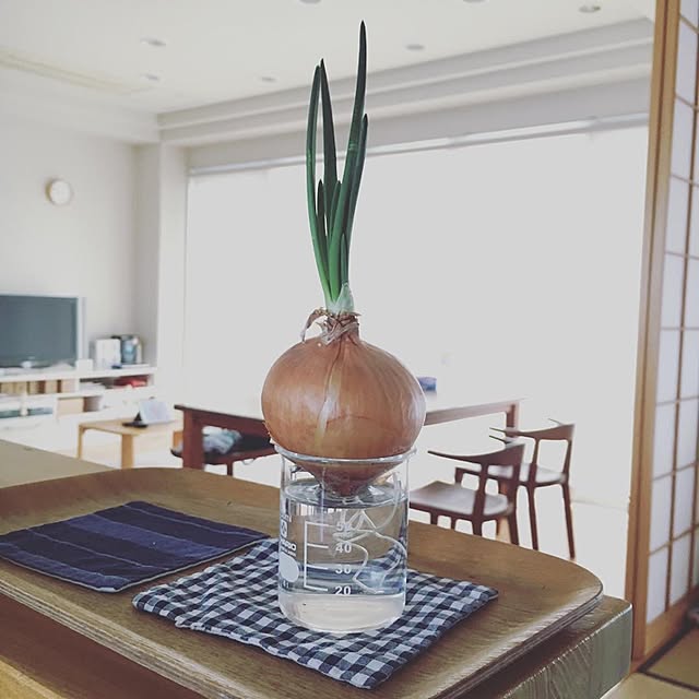 Riekoさんの実例写真