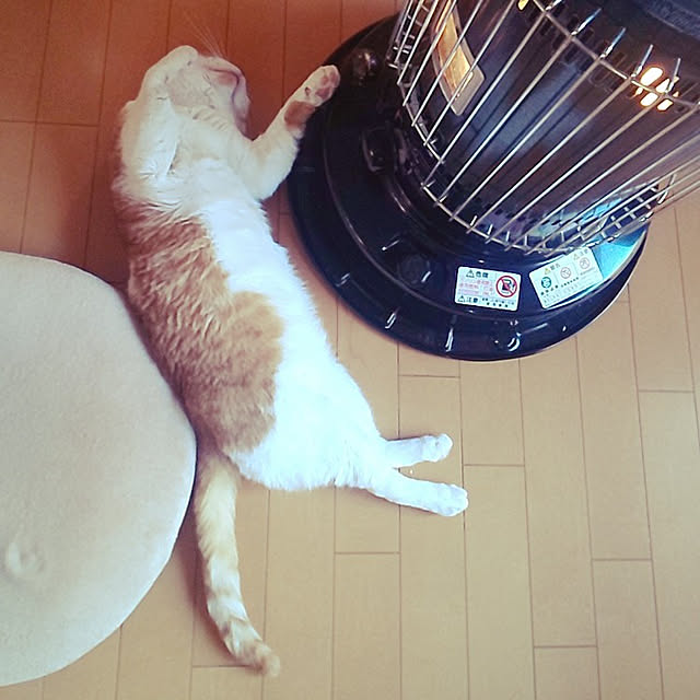 0617さんの実例写真