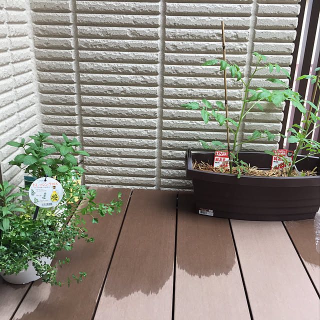 masaさんの実例写真