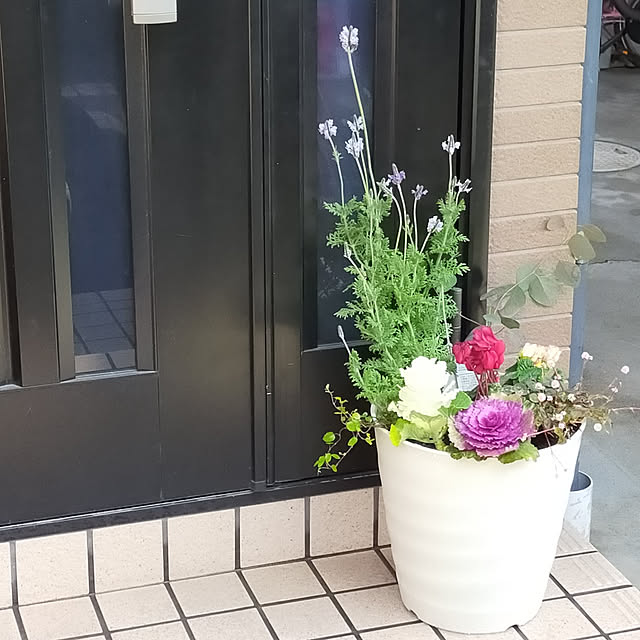 aiyuujiyuaさんの実例写真