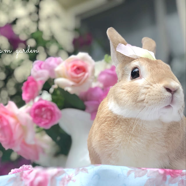 khj1974さんの実例写真