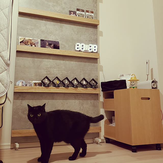 c1a9l6m5aさんの実例写真