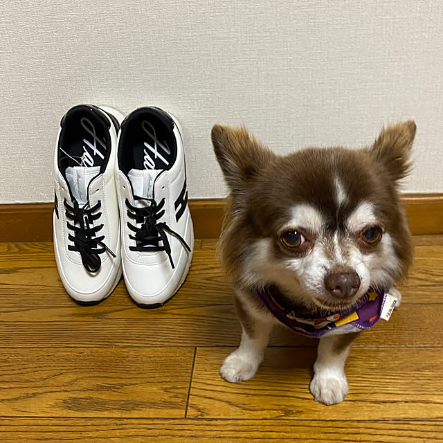 chIoeさんの部屋