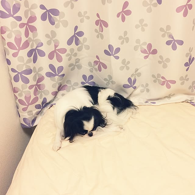 wasabiさんの実例写真