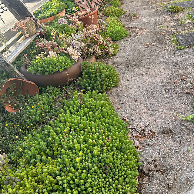 canmilmamaさんの部屋