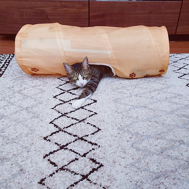 mochicoさんの実例写真