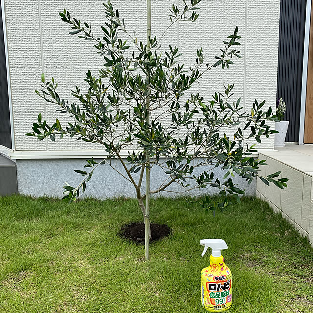 taeさんの実例写真