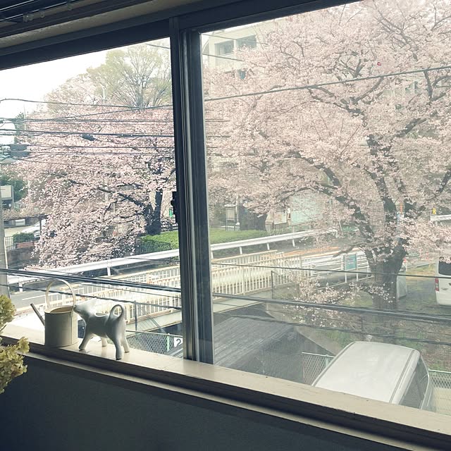 sakielさんの実例写真