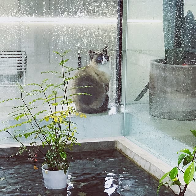 mashさんの実例写真