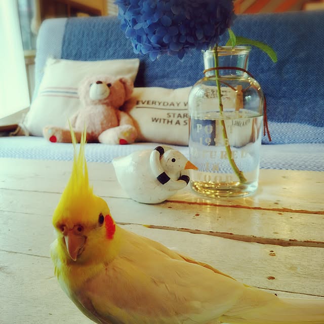 keikorinさんの実例写真