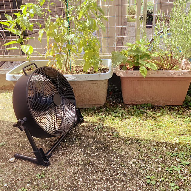 youk2519さんの実例写真