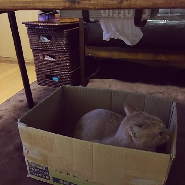 mikan161さんの実例写真