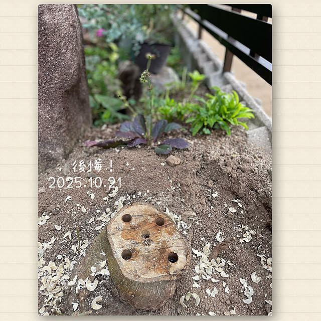 buchiさんの実例写真