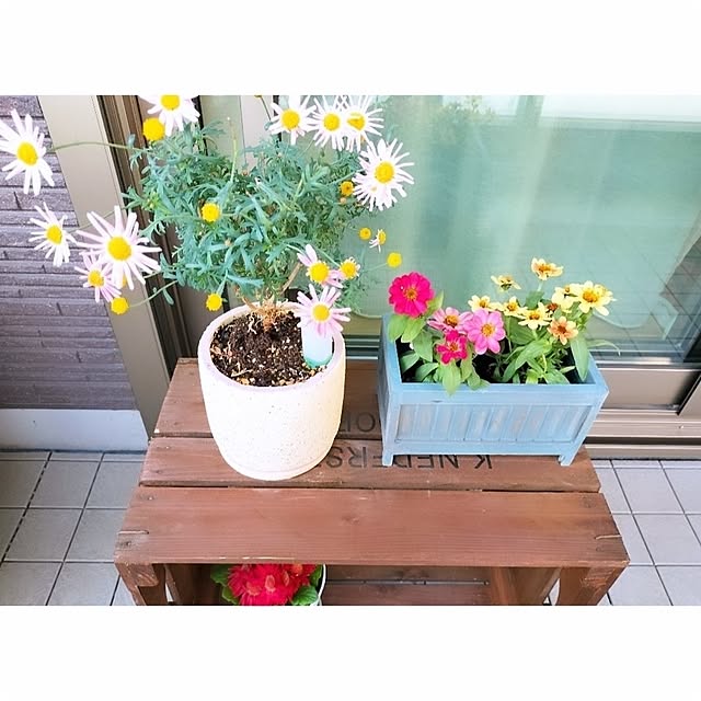 Retさんの実例写真