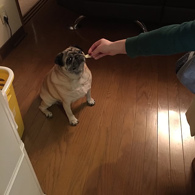 picoさんの実例写真