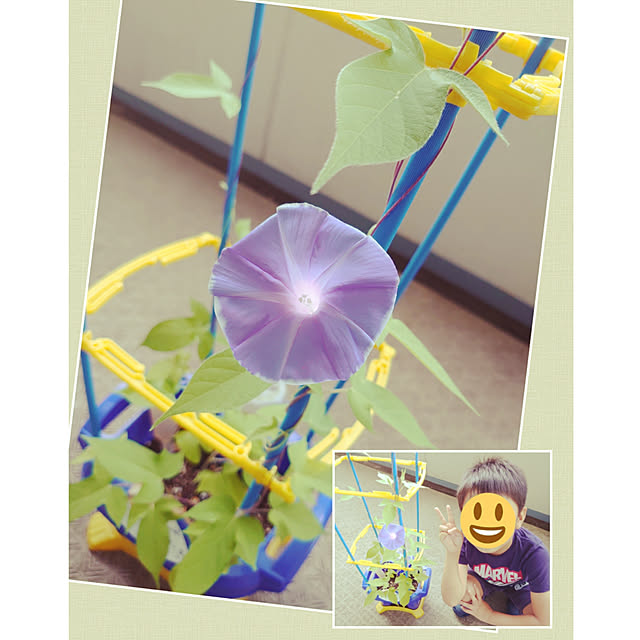 ToReTaRiさんの実例写真