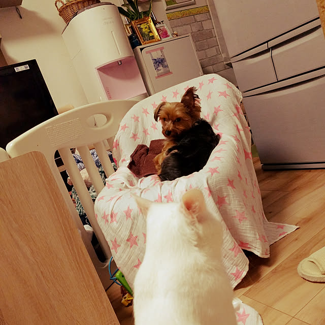 keikomokonさんの実例写真