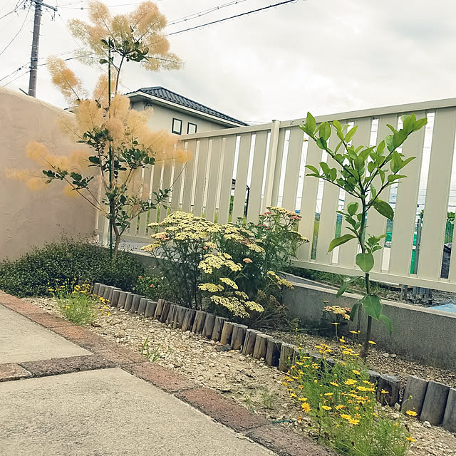 A.hさんの実例写真