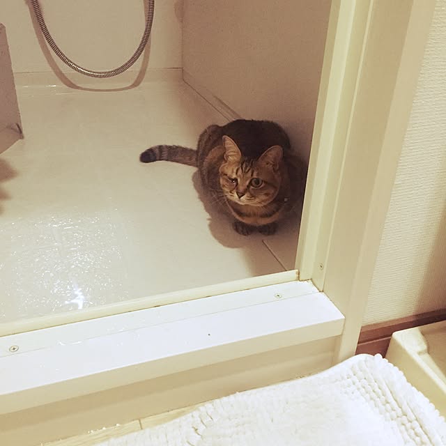 バス/トイレのインテリア実例 - 2015-05-27 12:11:16