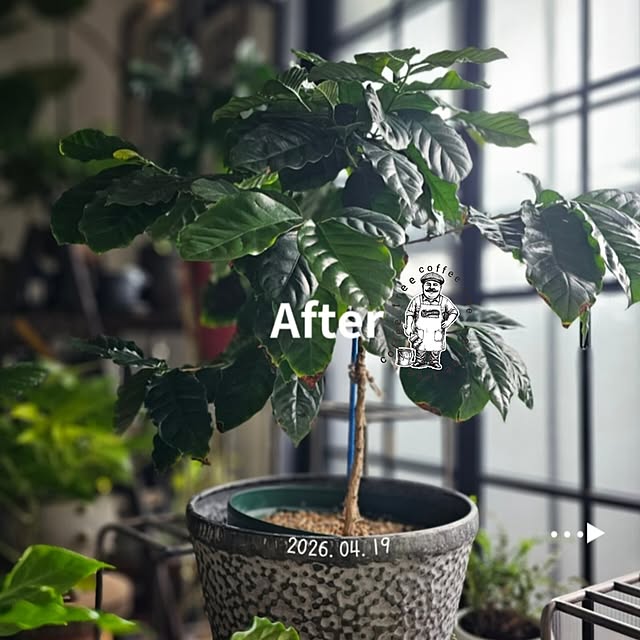 CYNOSさんの部屋