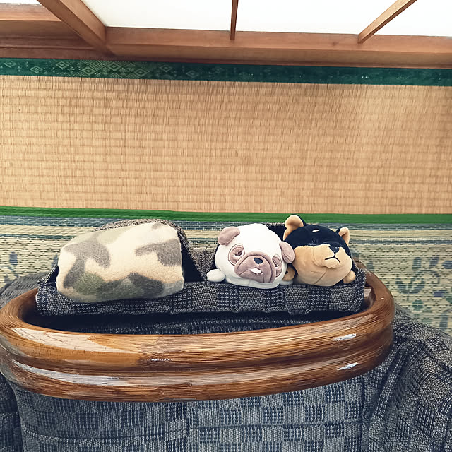 Yaya_Waterdropさんの実例写真