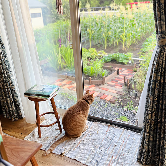Maruさんの実例写真
