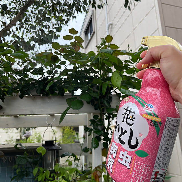 mayumiさんの実例写真