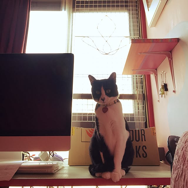 kimishigureさんの実例写真