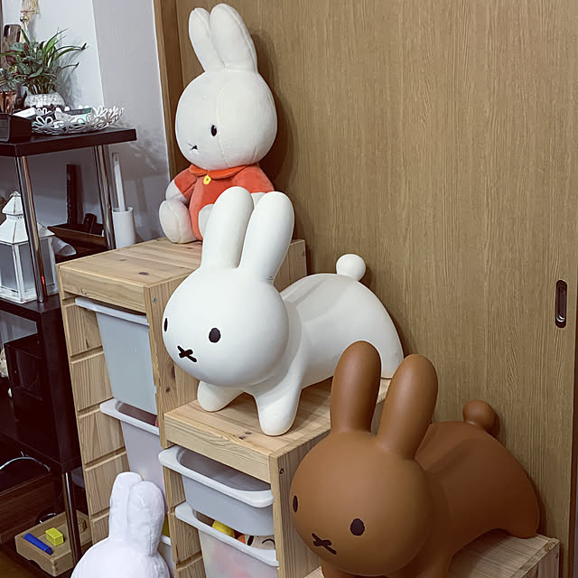 ayuminさんの実例写真