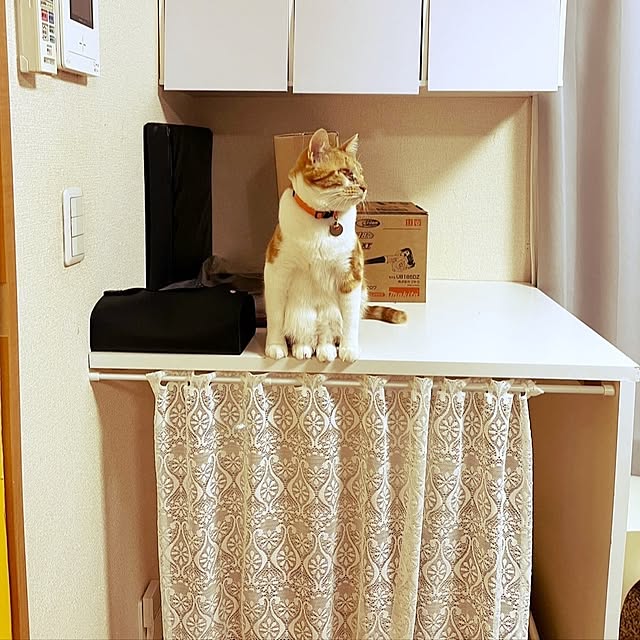 noguriさんの部屋