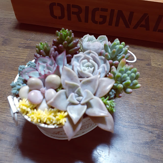 monさんの実例写真