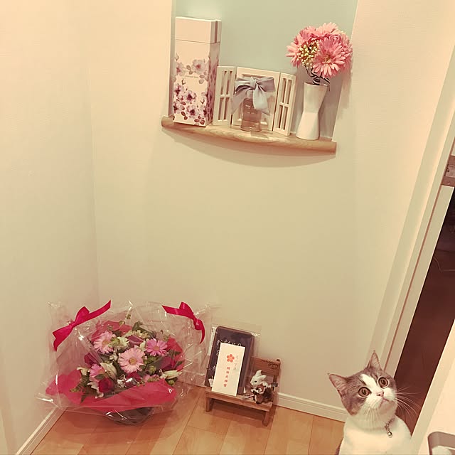 hikari_pppさんの実例写真