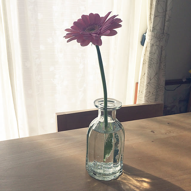 shimoamさんの実例写真