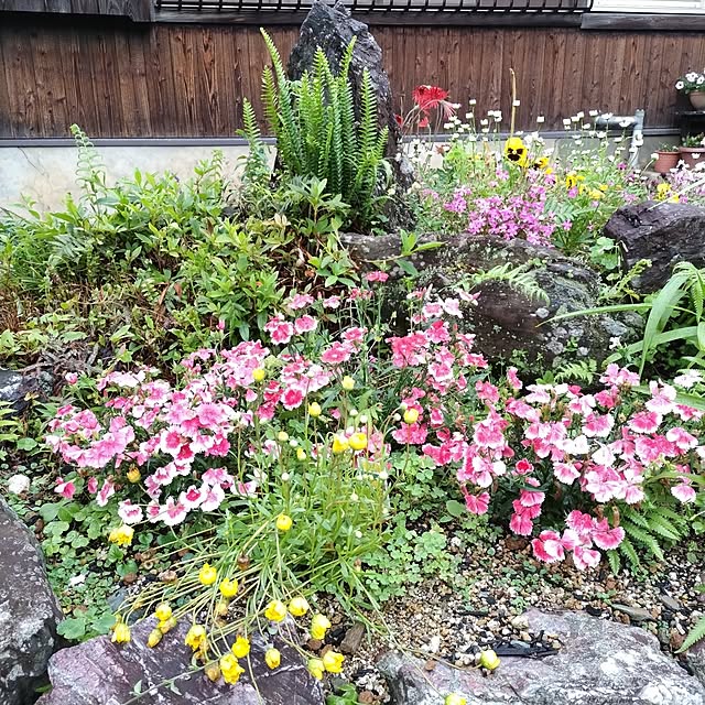 kuririnmamaさんの部屋