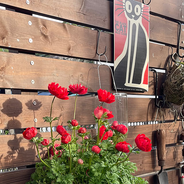 nobikoさんの部屋