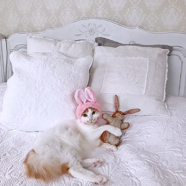 yuchiさんの実例写真