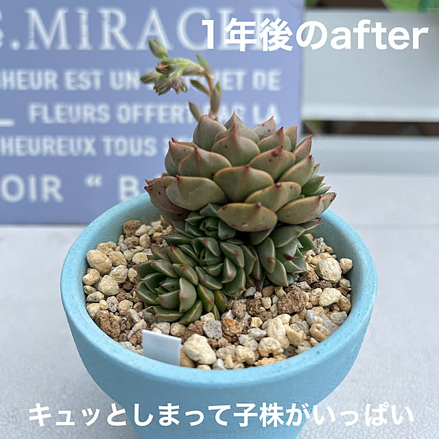 unichanさんの部屋