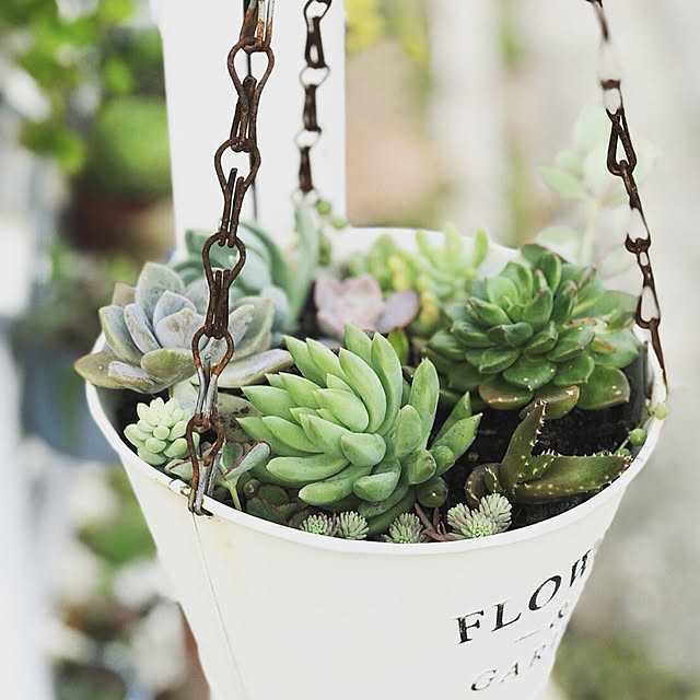 **yuu**さんの実例写真