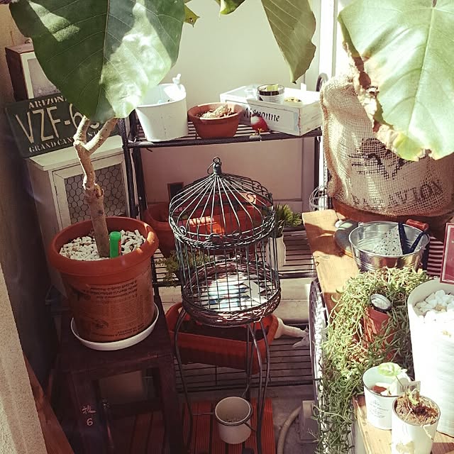 部屋全体/ベランダのグリーン達♡のインテリア実例 - 2015-03-28 11:57:36