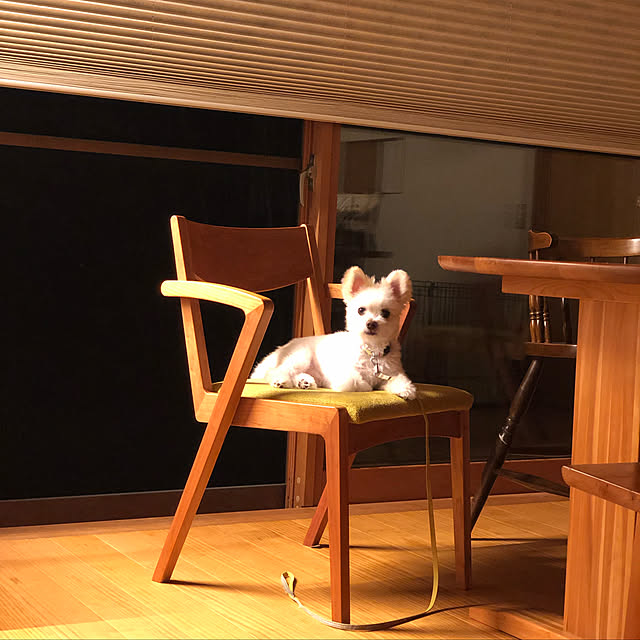 bonさんの実例写真