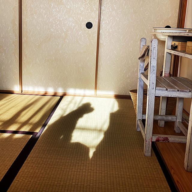 akaiboushiさんの実例写真