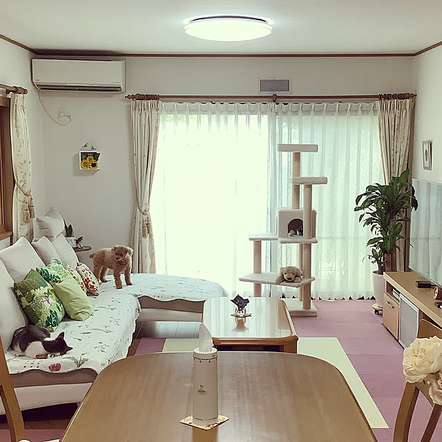 haruminさんの実例写真